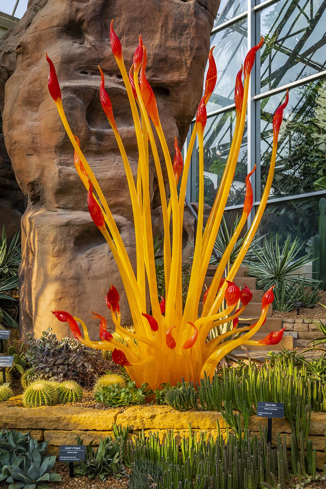 Torchier (1997) by Dale Chihuly