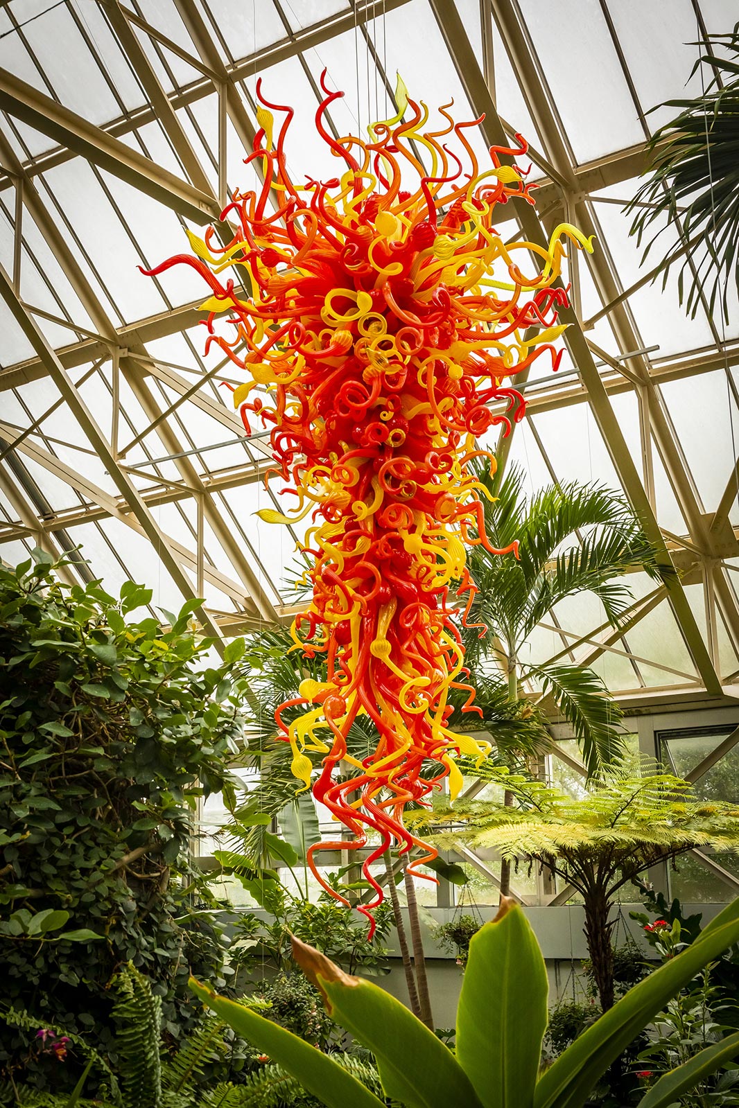 Sunset Chandelier (2019) by Dale Chihuly