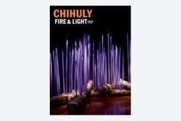 Chihuly Fire u0026 Light DVD Set