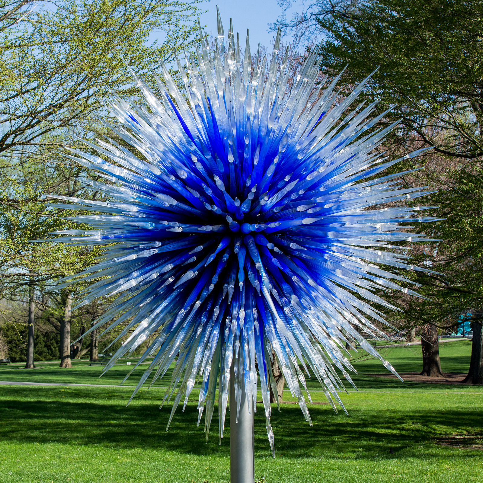 Exhibition Archive | Chihuly